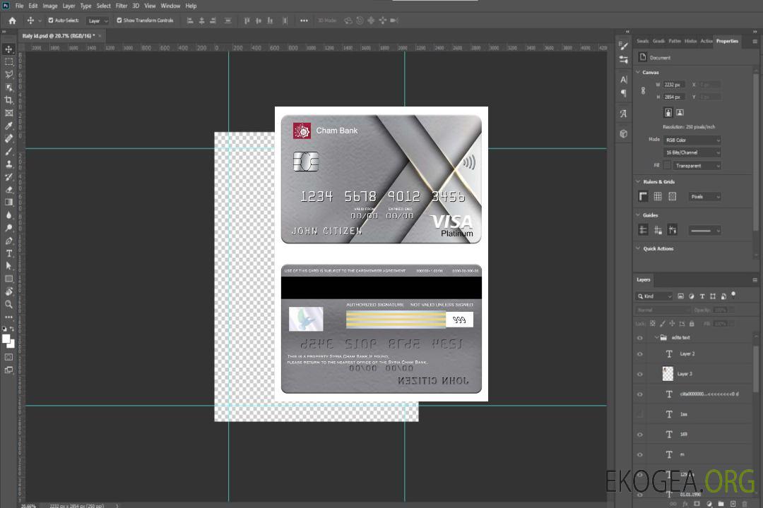 Carte visa platine de la Syrie Cham Bank template